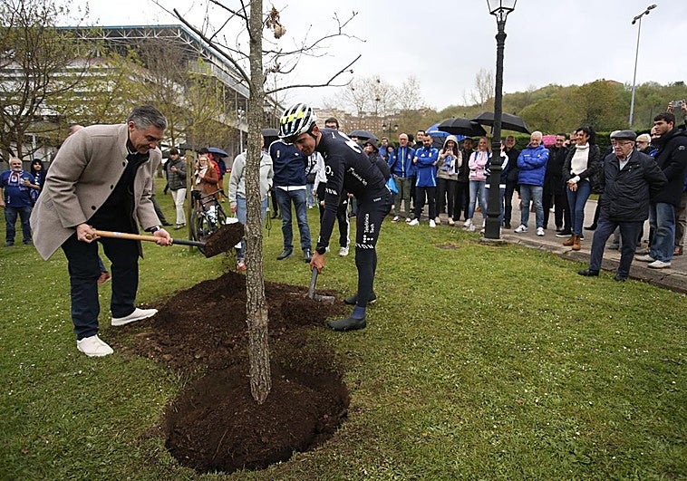 Un carbayo para celebrar los cien años del Real Oviedo