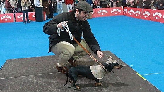 Del más travieso a la mejor pareja perro-humano: los ganadores en el desfile popular de Espacio Mascotas en Gijón