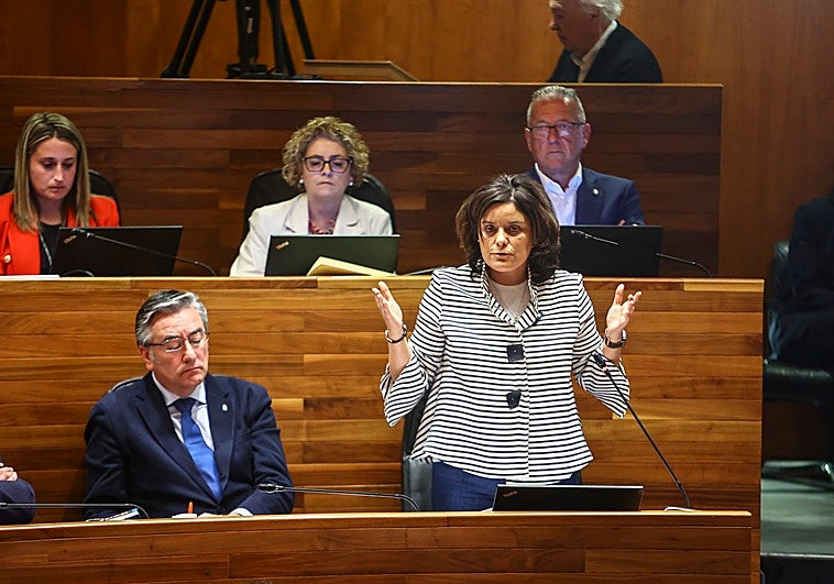 El PP exige al Principado que indemnice a las familias de los 1.245 dependientes fallecidos a la espera de ayuda en 2025