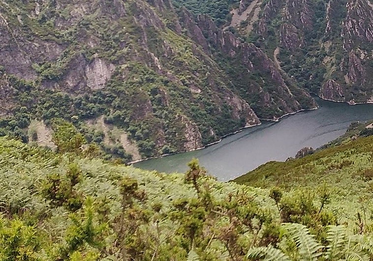 Magtel prevé crear al menos 400 empleos en las obras de la central de Tineo desde 2029