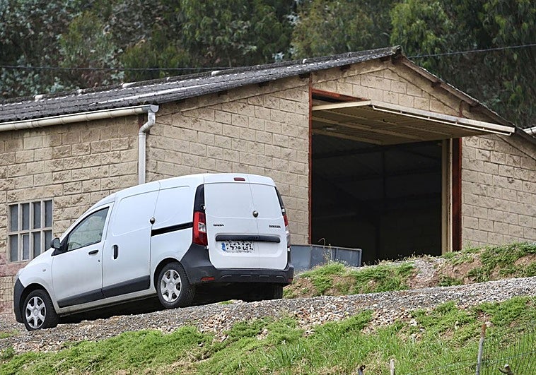 El 'criadero de los horrores' en Gijón: perros moribundos y con enfermedades contagiosas