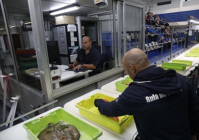 El precio medio del pescado subastado en Avilés entre enero y marzo sube un 69% en cinco años