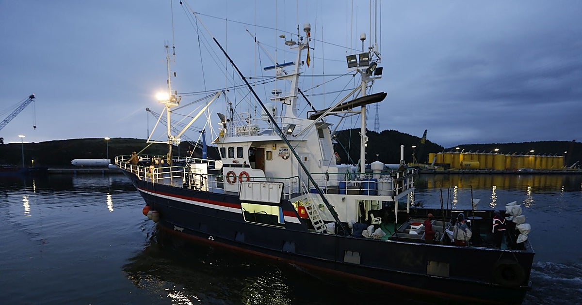 Cuatro pesqueros ya parten desde Avilés hacia el Atlántico en busca de bonito
