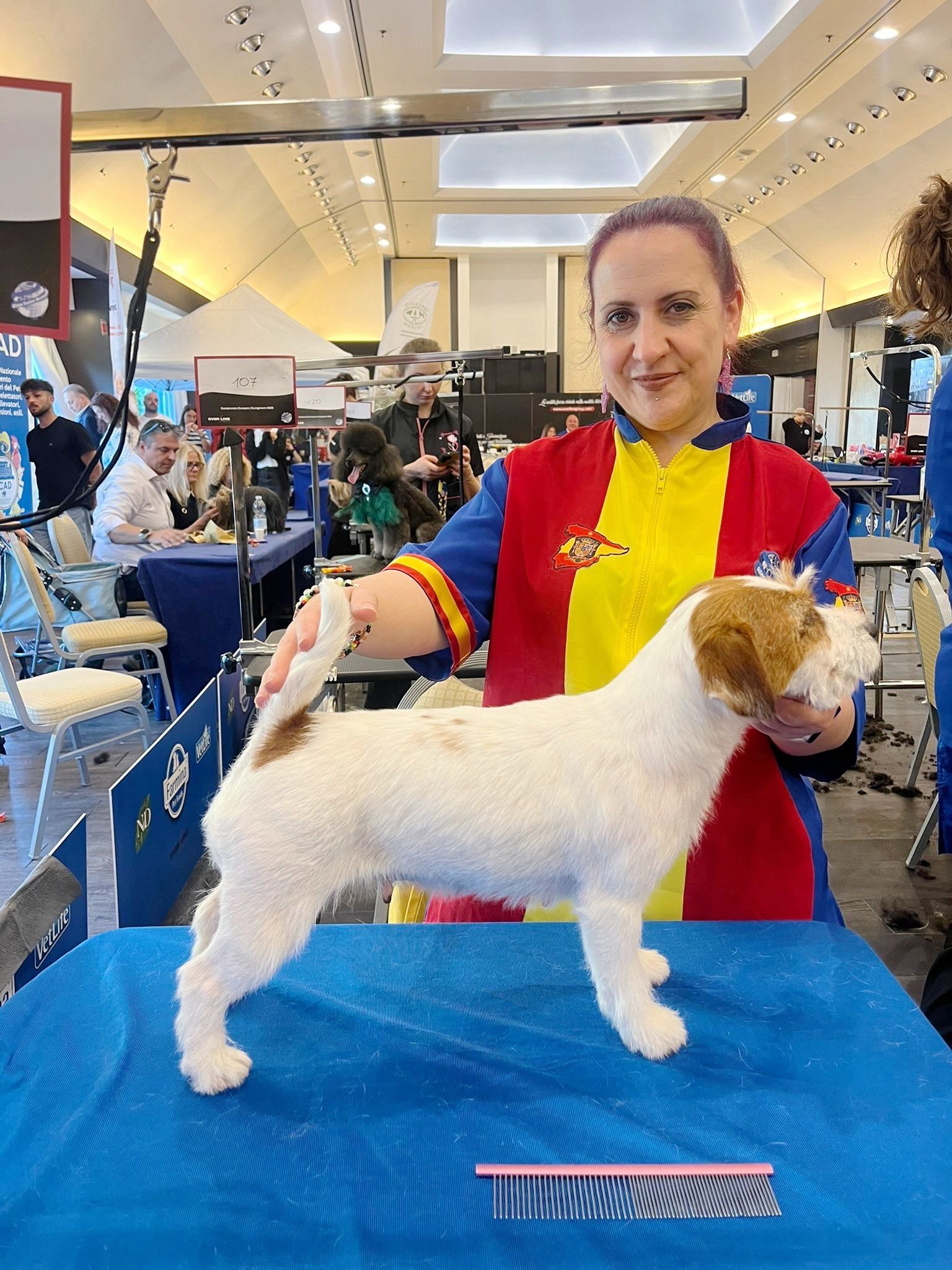 La mejor peluquera canina de Europa es en Castrillón