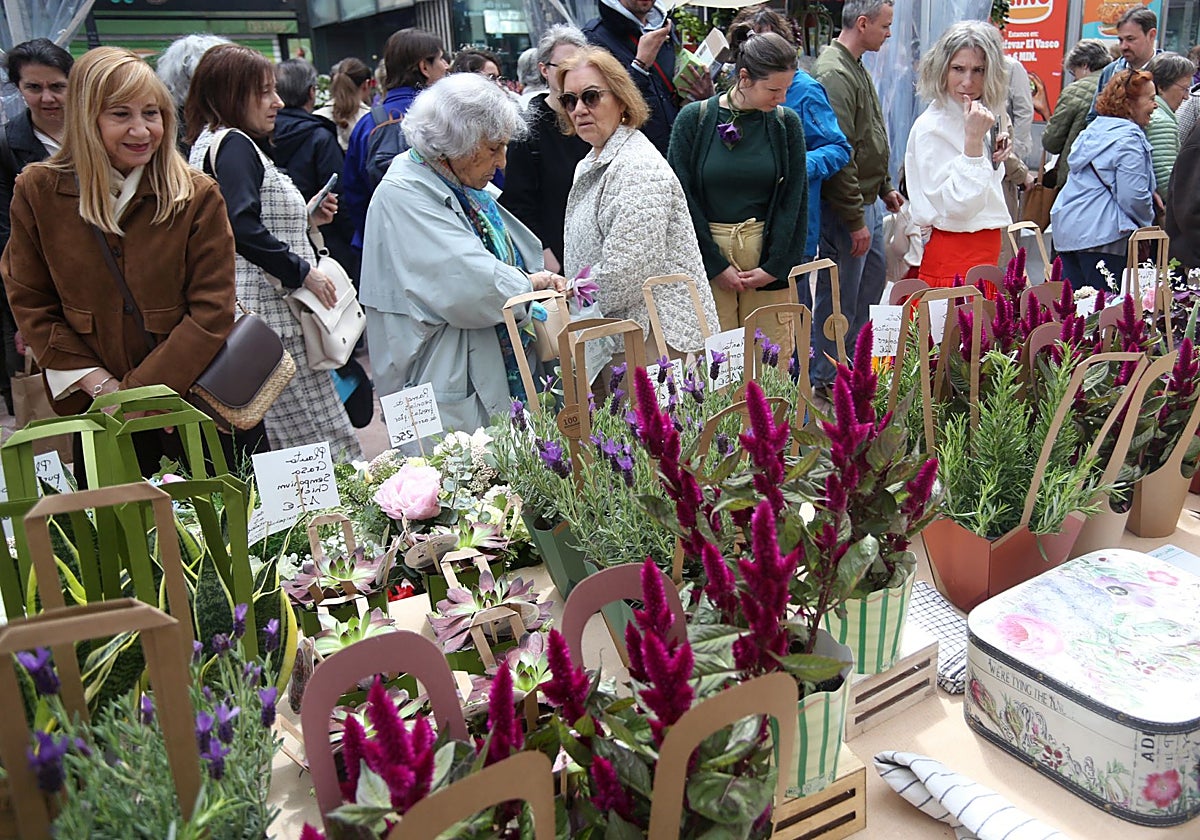 Oviedo se viste de flores para dinamizar las calles del centro y el comercio local