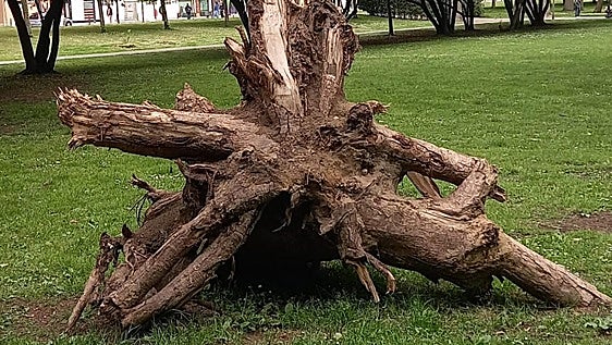 El alienígena
