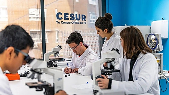 Córdoba, Alicante y Zaragoza: las nuevas paradas de CESUR en pleno auge de la FP