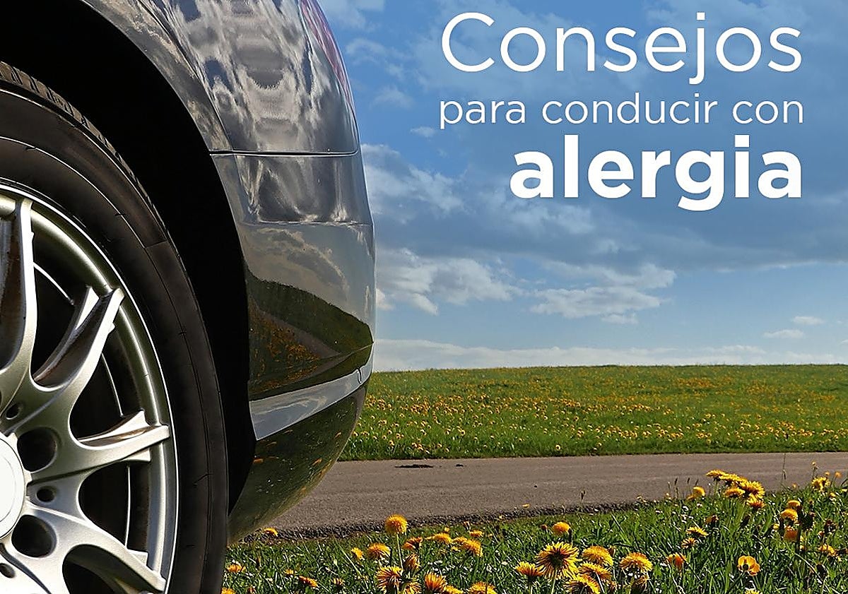 Las recomendaciones de la DGT para los alérgicos a la hora de conducir en primavera