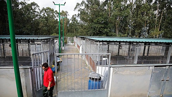 La reforma del albergue de animales de Gijón más cerca: sus obras salen a licitación por 374.374 euros
