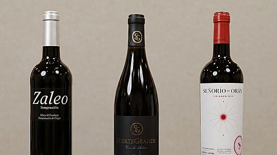 La alegría de la vid: la Ribera menos conocida