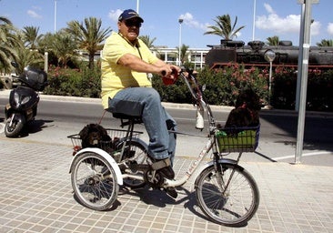 Un cicloturista transporta a su perro en cesta.