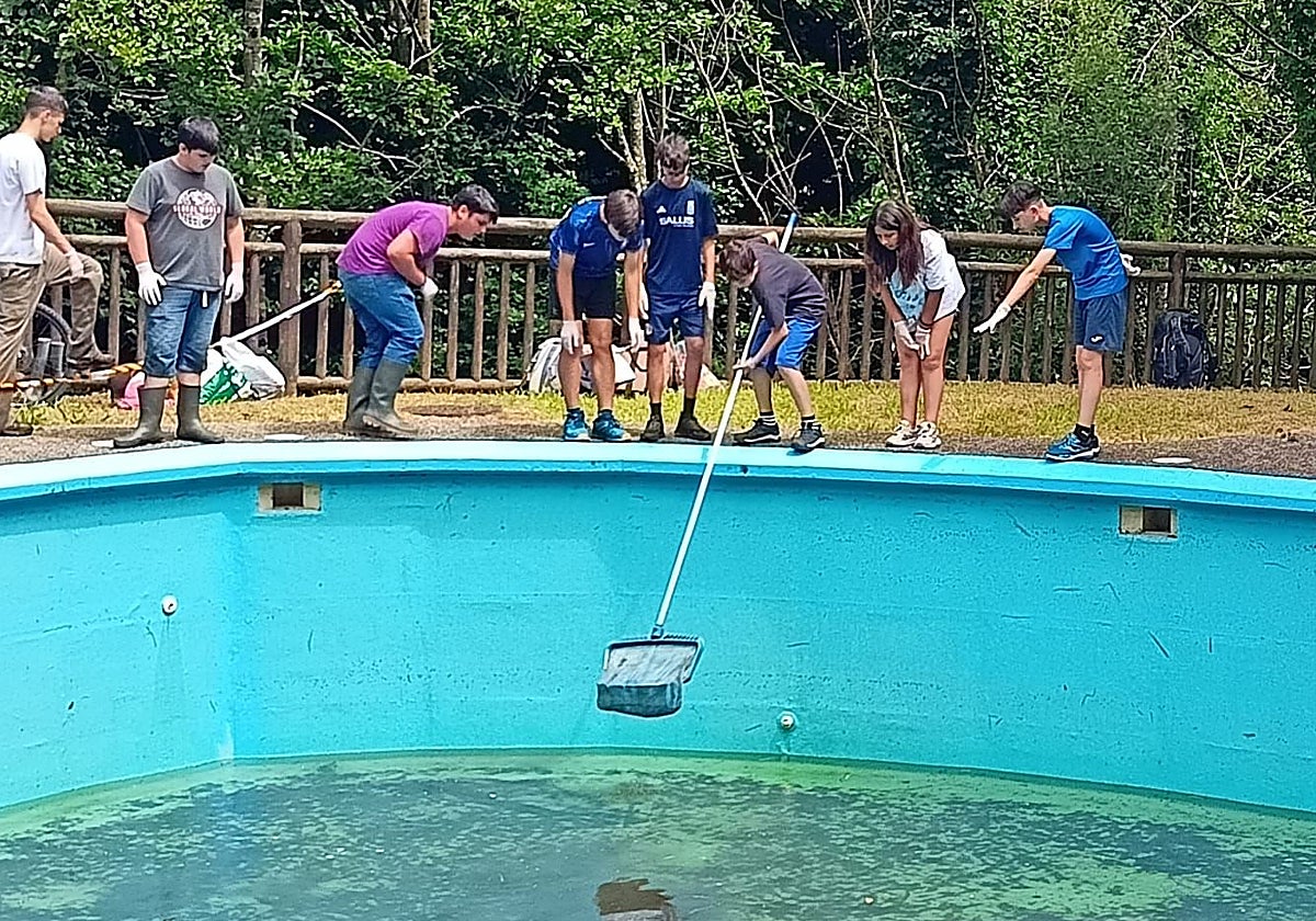 5.000 renacuajos en apuros, rescatados por una treintena de voluntarios en Asturias