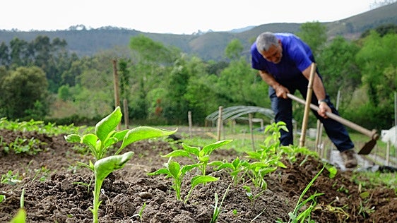 450.000 euros para el asesoramiento técnico de 708 explotaciones asturianas