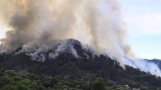 Seis concejos asturianos, en «riesgo muy alto» de sufrir incendios forestales este viernes