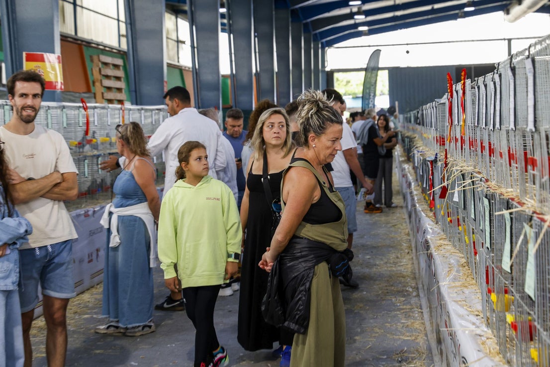 Agropec abre sus puertas en Gijón