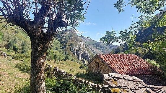 Rutas de montaña en Asturias: Del valle de Xulió a Cabeza L'Arcu, mucho paisaje en el Parque de Redes
