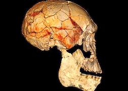 Cráneo de un homínido primitivo, descubierto en Kenia en 1972, combinado con una mandíbula inferior hallada ahora. / Efe