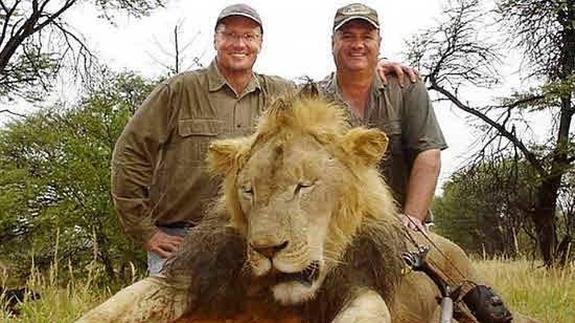 Zimbabue levanta los límites a la caza de leones y otros animales | El  Comercio