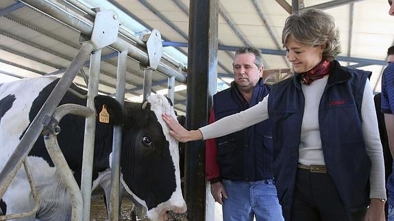 Isabel García Tejerina, durante una visita a una explotación ganadera. 