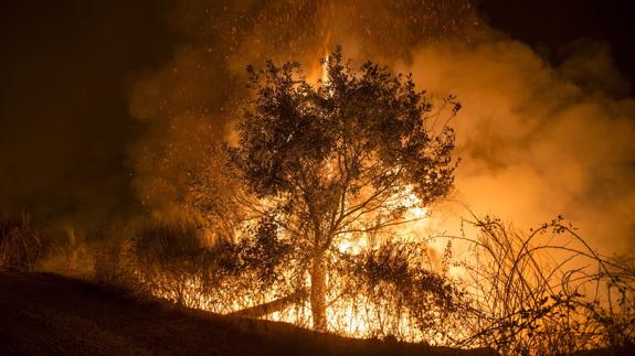 Incendio en el municipio orensano de A Pobra de Trives.