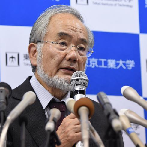 Yoshinori Ohsumi, tras conocerse el galardón.