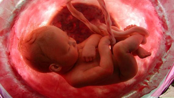 Recreación de un feto. 