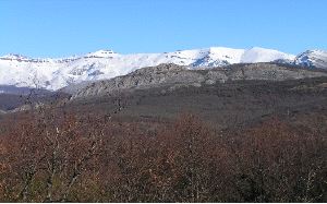 FUENTES CARRIONAS. Zona del parque natural donde apareció el cadáver. / PLATAFORMA PARA LA DEFENSA DE LA CORDILLERA CANTÁBRICA