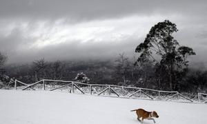 Una estampa de la nieve en Asturias. / M. ROJAS