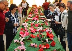 Algunos de los visitantes, ayer, en la Exposición de Camelias de Asturias. ::                             J. C. ROMÁN