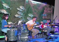 El jazz fusión de Tyfpe llega esta tarde a la sala club del Niemeyer