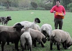 Un vecino de la zona da de comer a los animales. ::                             MARIO ROJAS