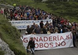 Cuatrocientos ganaderos cortan la carretera a Los Lagos en protesta por los daños del lobo
