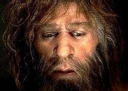Nuevo paso en el conocimiento del neandertal