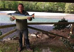 El campanu de Asturias, del Cares a Cornellana