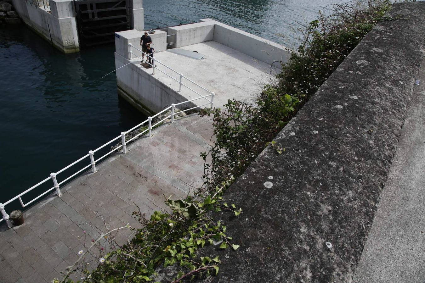 Lugar al que se precipitó el joven. 
