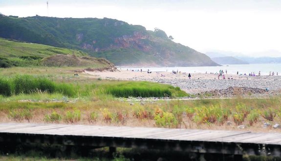 La vegetación cubre las dunas de la playa de Vega. 