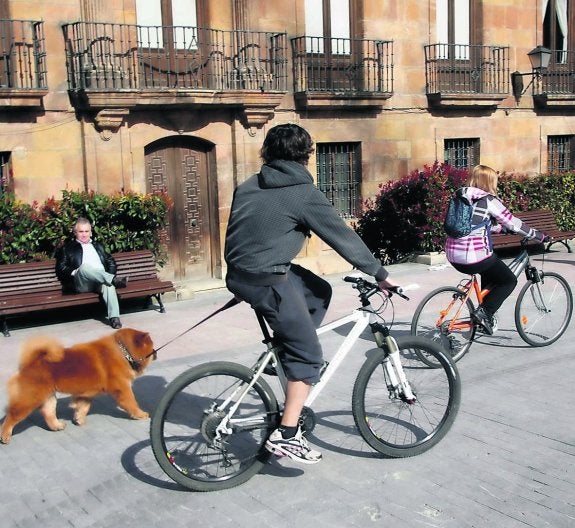 Cada vez son más los usuarios de la bicicleta urbana. 