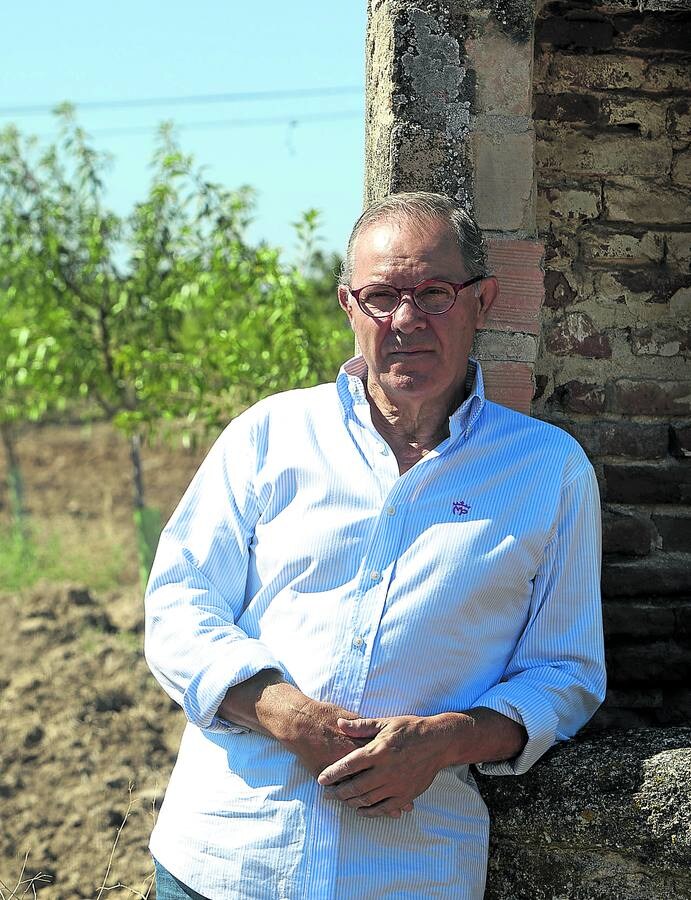 El locutor deportivo, ya jubilado, frente a su plantación de almendros de su pueblo, Los Cerralbos (Toledo). 