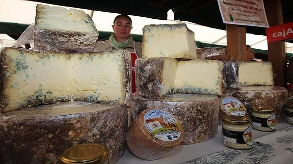 Piezas de queso Gamonedo.