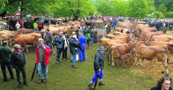 El recinto ferial de Corao requiere de una serie de mejoras para adaptarse a las exigencias de la Comunidad Europea. 