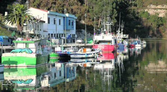 Embarcaciones amarradas en el puerto de Bustio, en el concejo de Ribadedeva. 