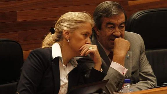 Cristina Coto y Cascos en la Junta General. 