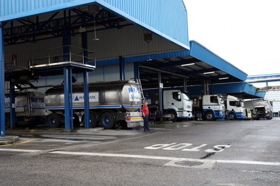 Cubas refrigeradas de recogida de leche en las instalaciones de la compañía en Granda. :: pablo Nosti