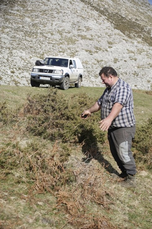 Tito Rojo en la zona de la sierra de Hibéu donde en 2012 quemó un matorral que ya está totalmente regenerado. 