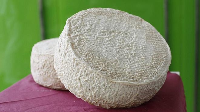 Cheese Revolution from Spain