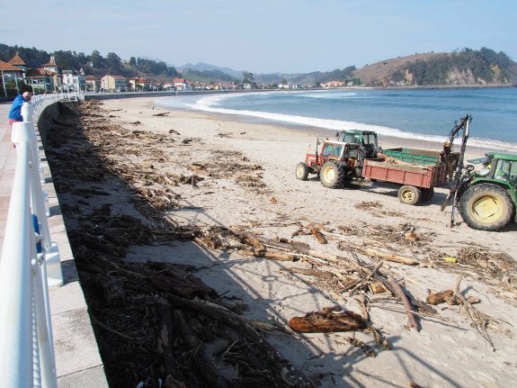 Maquinaria trabajando ayer en las labores de limpieza. 