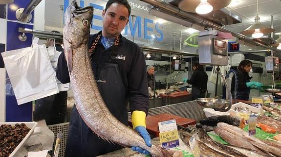 La merluza, en pescados Herme.