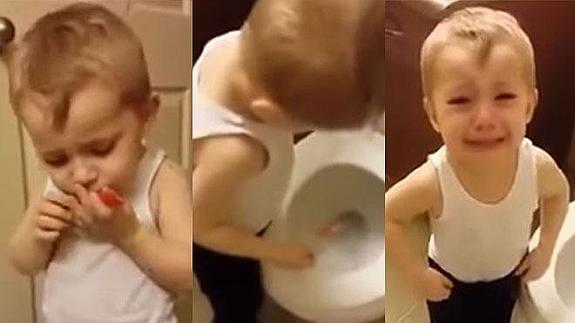 La emotiva reacción de un niño que despide a su pez, recién fallecido