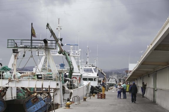 Imagen de archivo del puerto pesquero de Avilés con los barcos amarrados a pie de lonja. 
