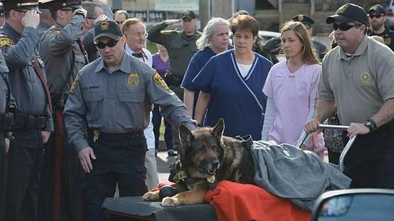 La emotiva despedida de un pueblo a Zeus, un perro policía, antes de ser sacrificado